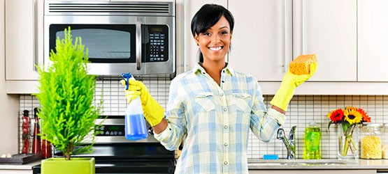 professional cleaning clean arricvl llc