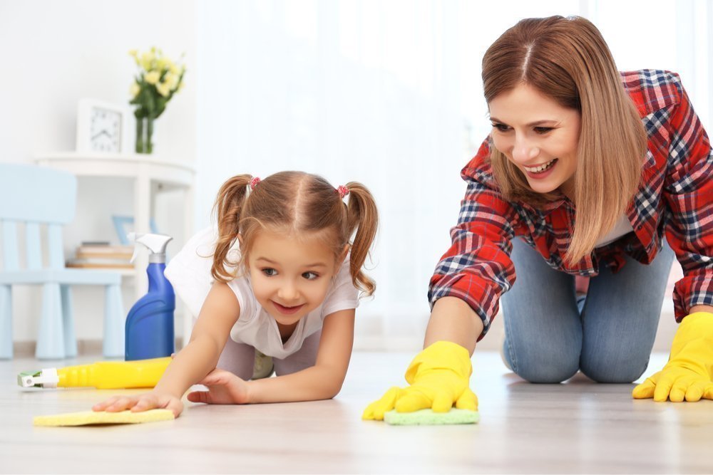 Professional Home Cleaning Services