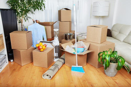 portland move out cleaning service - Clean Arrival LLC